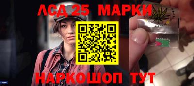крисы Бийск