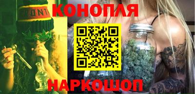 крисы Бийск