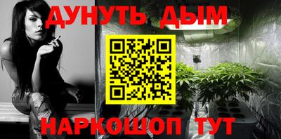 крисы Бийск