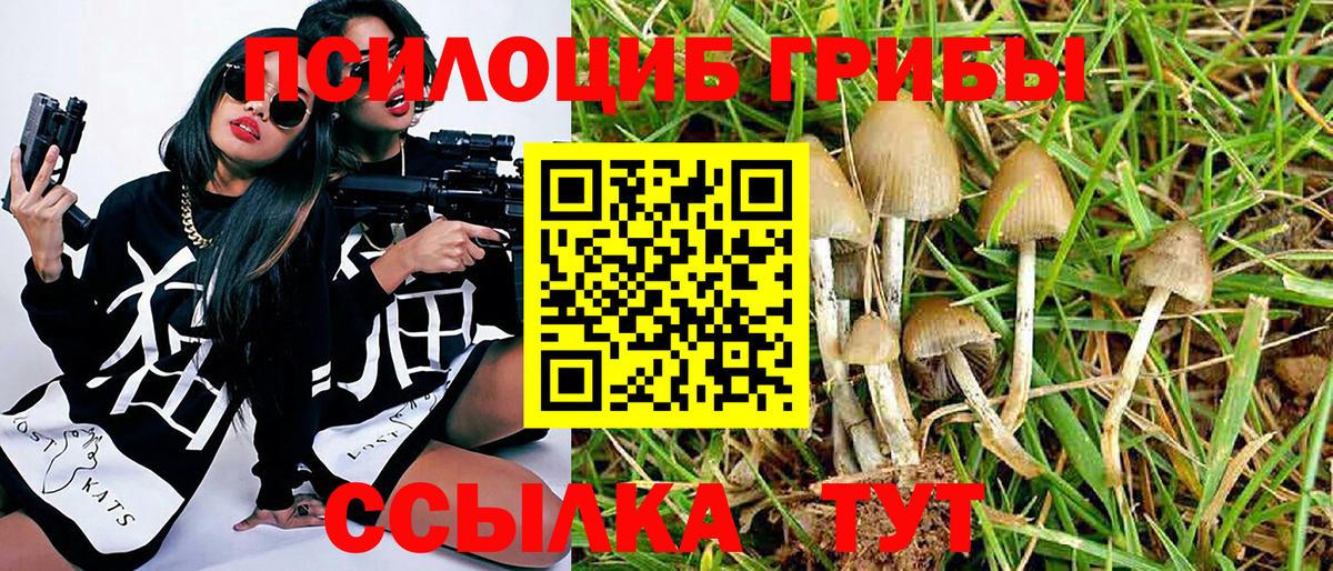 Галлюциногенные грибы Magic Shrooms Кольчугино